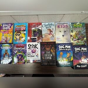 BOOK LOT for young reader. Listing price includes the 12 books shown!